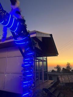 Backpacker Storey - 3