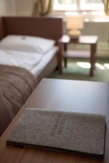 Hotel Bergwirt Schönbrunn - 8