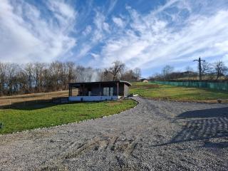 Cuibul de pe Deal Coșdeni Bihor - 4