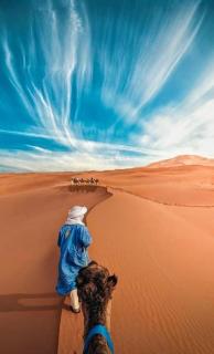 Itran desert camp - 0