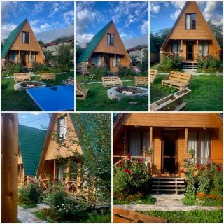 Guesthouse Venera - 4