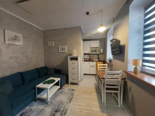 Apartamenty u Rzepióra - 9