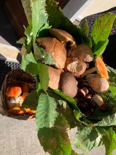 My Vintage Cozy Home - 1