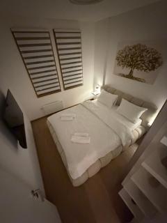 Zlatibor Palisad Hills Residence - 1