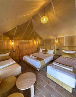 Merzouga luxueux camp - 8