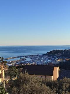 Vista dai pini - 5