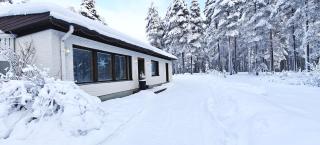 Arctic Forest Hide - Nature, Sauna & Silence - 0