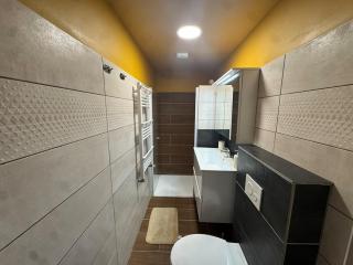 Le colibri au pied des ballons des Vosges - 6