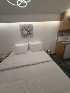 City Center Green Lux Studio - 2