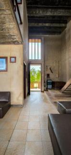 Driftwood Beach Escape - 5