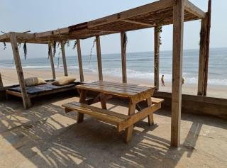 Driftwood Beach Escape - 2