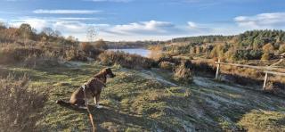 Chalet Bos en Pootjes - 4