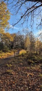 Chalet Bos en Pootjes - 6