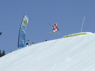 Loc'Hotel Alpen Sports - Les Gets - 5