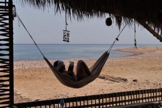 Wasla Beach Camp - Abu Galoum - 0