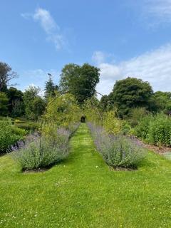 Garden House Barmeath Castle - 1
