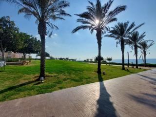 מגדל אלמוג חיפה - 4