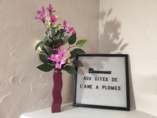 L'âne à plumes - 9