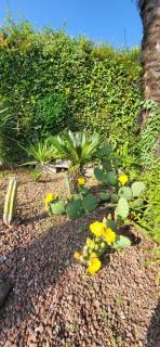 Tropical Art Apartment - 2