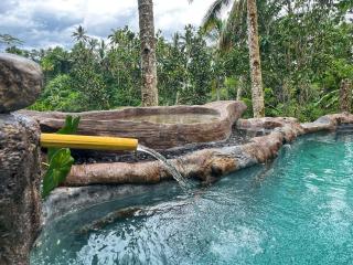 Unique wooden house with a view jungle 1BR private - 5