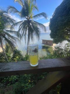 Ponci’s Gate to Gaia Holistic Center - 8