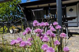 Cozy Summerhouse 100 M From The Beach - 7