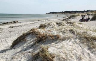 Cozy Summerhouse 100 M From The Beach - 2