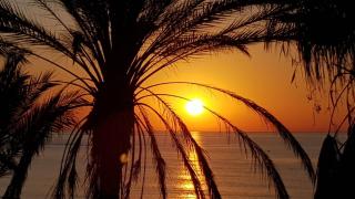 Benal Beach Vibe - 9