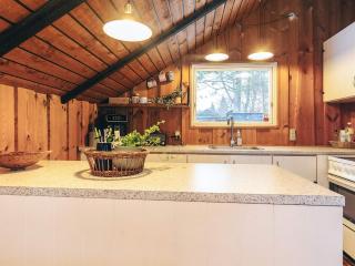 Holiday home near fishing lake - 3