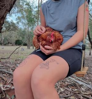 Little Sheoak Tiny House - 2