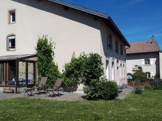 Spacieux Gîte Familial près des Vosges - FR-1-584-396 - 3