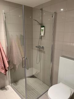 New, Nice and Cosy Flat 10 mins drive to Airport - 5