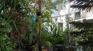 Daddy's home Huahin - 2