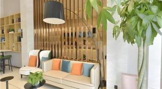 City Comfort Inn Bozhou Wanda Kangmei Traditional Chinese Medicine City - Bozhou - 7