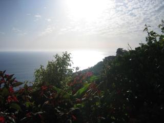 Apartamento do Sol - Arco da Calheta - 2