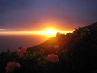 Apartamento do Sol - Arco da Calheta - 1