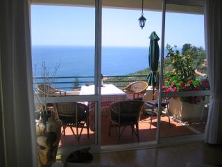 Apartamento do Sol - Arco da Calheta - 8