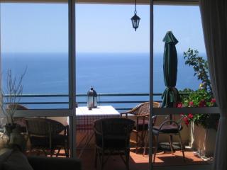 Apartamento do Sol - Arco da Calheta - 7