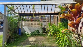 Rumah Herbal Therapy BaliManggis - 4