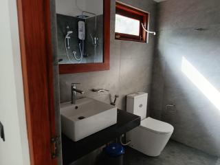 Coconut Shadow - Midigama - 1