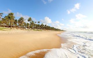 Grand Palladium Imbassaí Resort & Spa - All Inclusive - Imbassai - 1