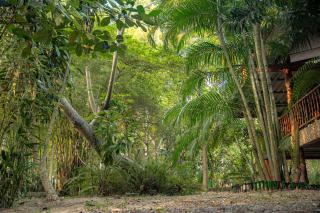 Zen Harmony Haven - 3