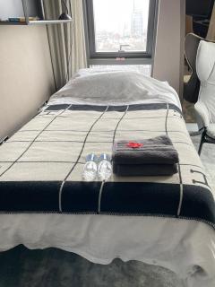 Parliament House - Luxury Penthouse - 9