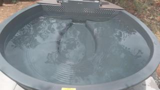 Milkwood Safari Lodge - Warmbaths - 7