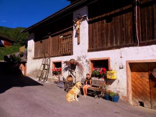 Gästehaus Zwischenberger - Obervellach - 6
