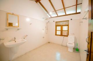 Aurora පාට පාට - 5