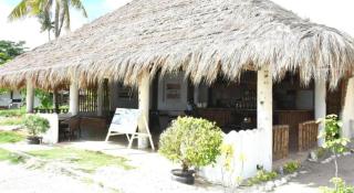 Malapatel - Logon - 9