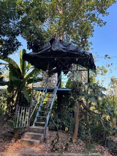 Heritage tharavadu - 8