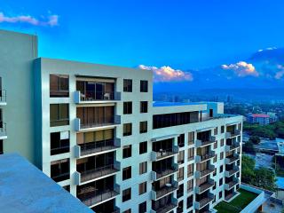 Luxury Downtown Apartment with Rooftop Pool and Gym - 1