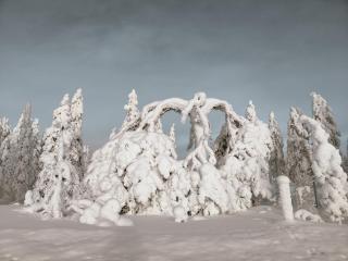 Rentola Lapland a peaceful and cozy cottage - 8